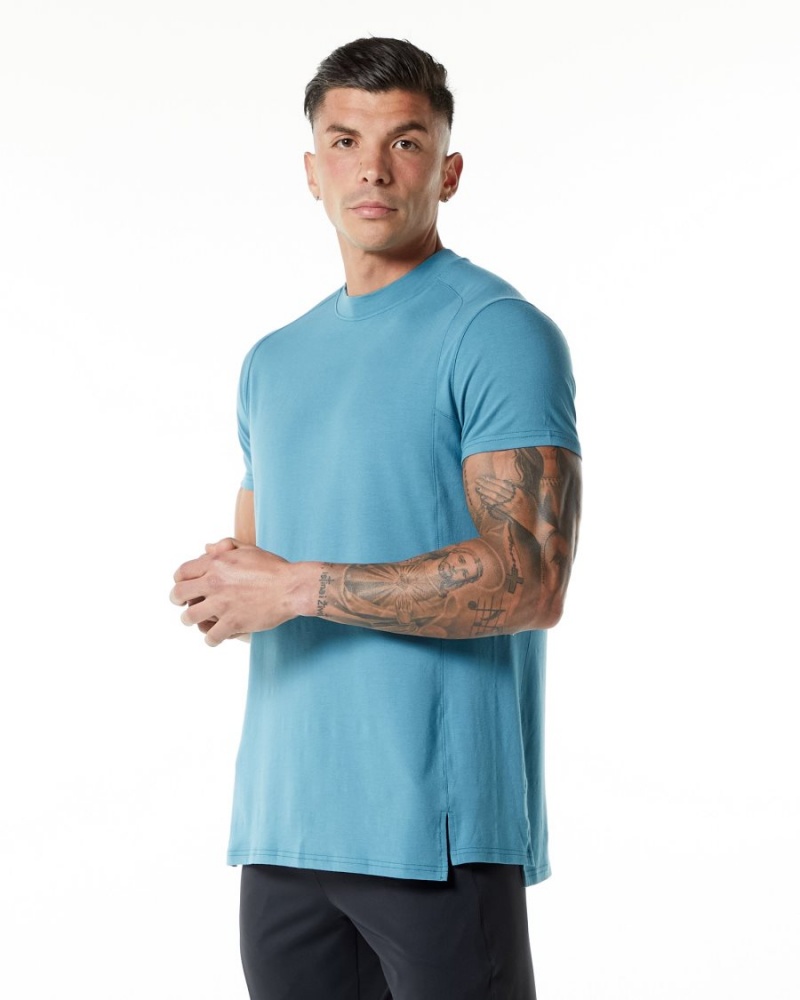 Blue Lagoon Alphalete Evo Tee Men\'s Shirts | 9018726-FO