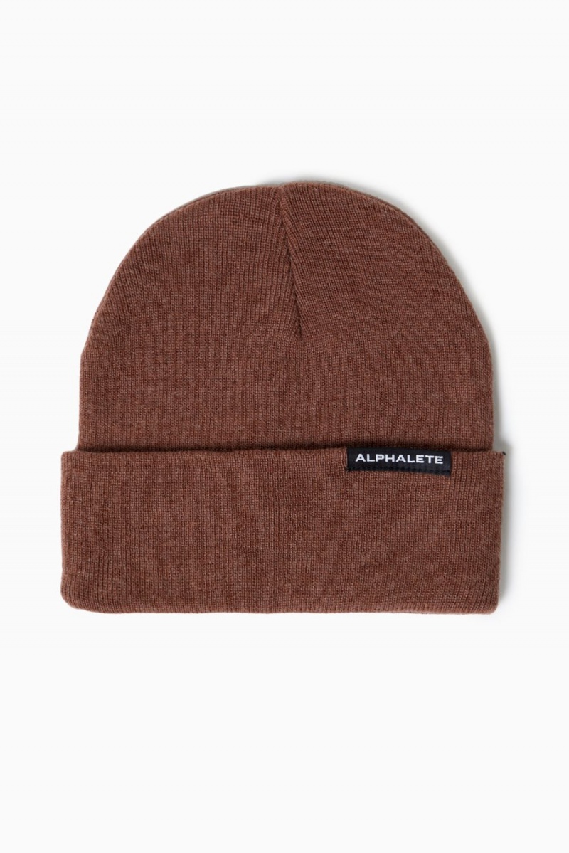 Bourdeaux Alphalete Essential Foldover Beanie Men's Accessories | 0584762-DX