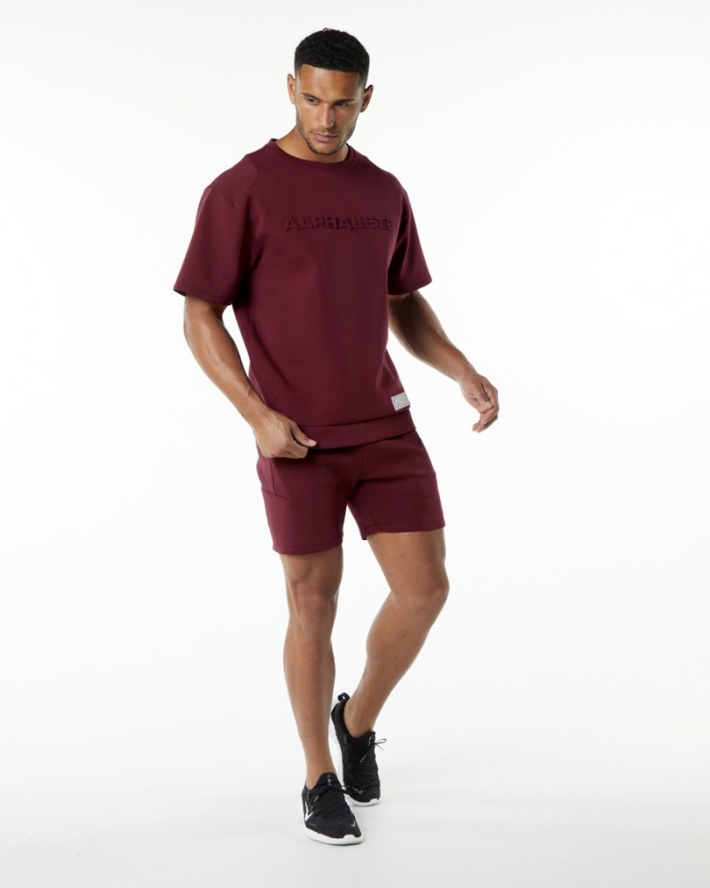 Burgundy Alphalete ELMTS Athletic Short 6" Men's Shorts | 0592837-VX