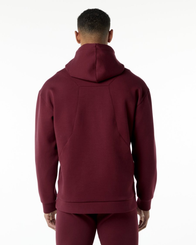 Burgundy Alphalete ELMTS Hoodie Men's Hoodie | 6485712-VM