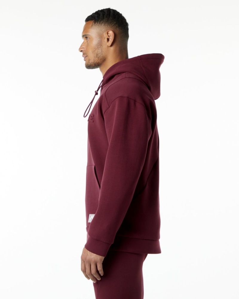 Burgundy Alphalete ELMTS Hoodie Men's Hoodie | 6485712-VM