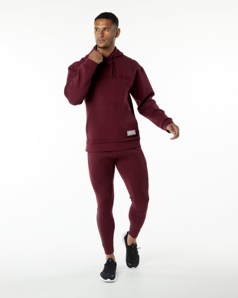 Burgundy Alphalete ELMTS Hoodie Men's Hoodie | 6485712-VM