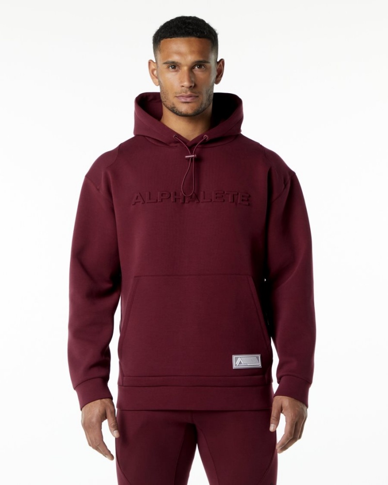 Burgundy Alphalete ELMTS Hoodie Men\'s Hoodie | 6485712-VM