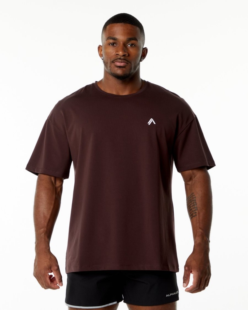 Burgundy Alphalete Emblem Tee Men\'s Shirts | 2150963-EQ