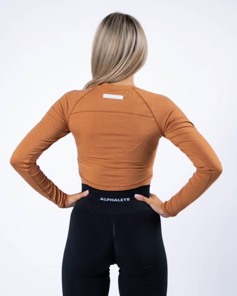 Camel Alphalete Evo Long Sleeve Crop Women's Long Sleeve | 1468930-HE