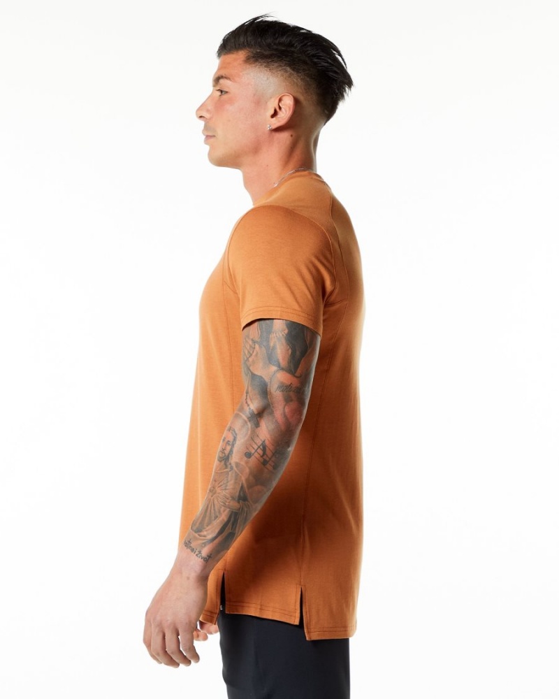 Camel Alphalete Evo Tee Men's Shirts | 0431682-NO