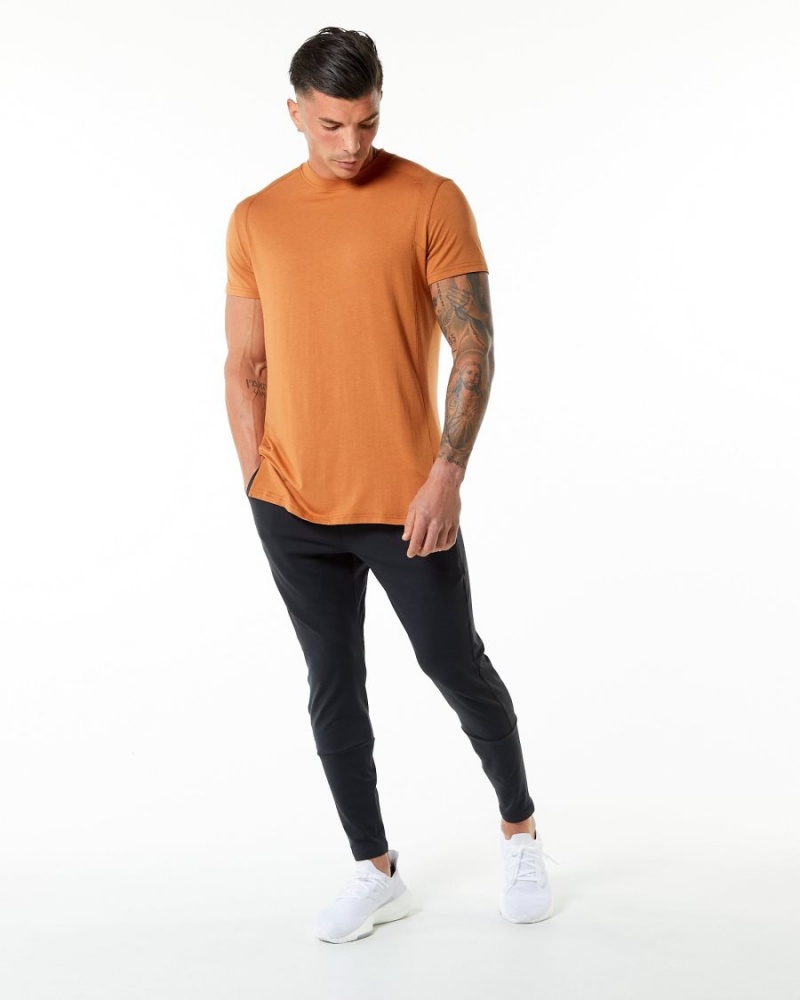 Camel Alphalete Evo Tee Men's Shirts | 0431682-NO