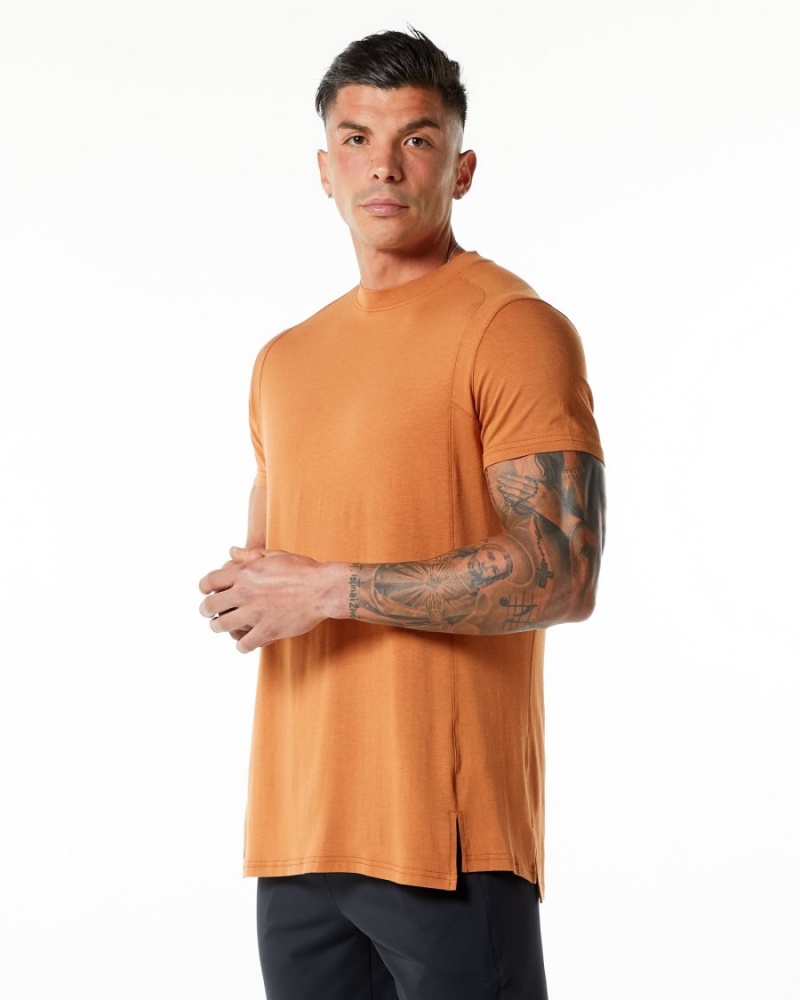 Camel Alphalete Evo Tee Men\'s Shirts | 0431682-NO