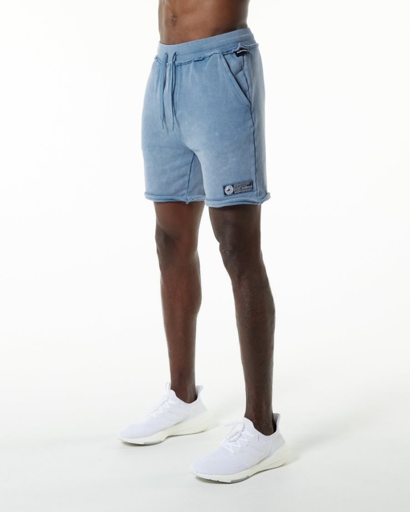 Celestial Blue Alphalete Very Terry Short Men's Shorts | 8140629-ZC