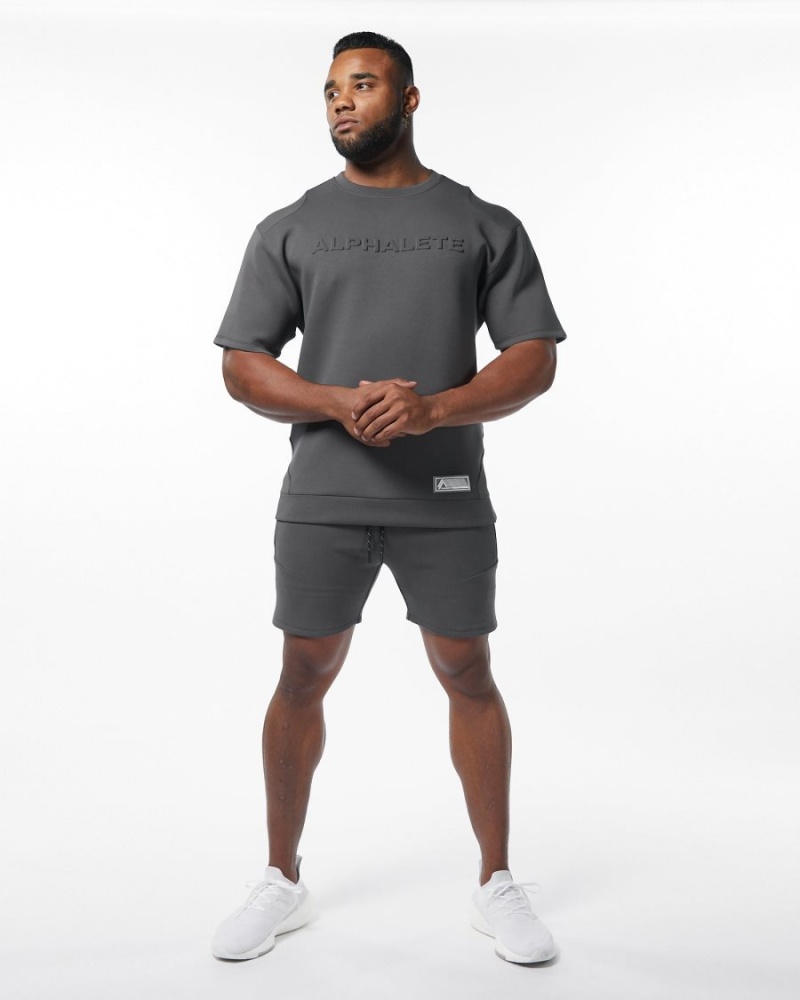 Charcoal Alphalete ELMTS Athletic Short 6" Men's Shorts | 3658497-ME