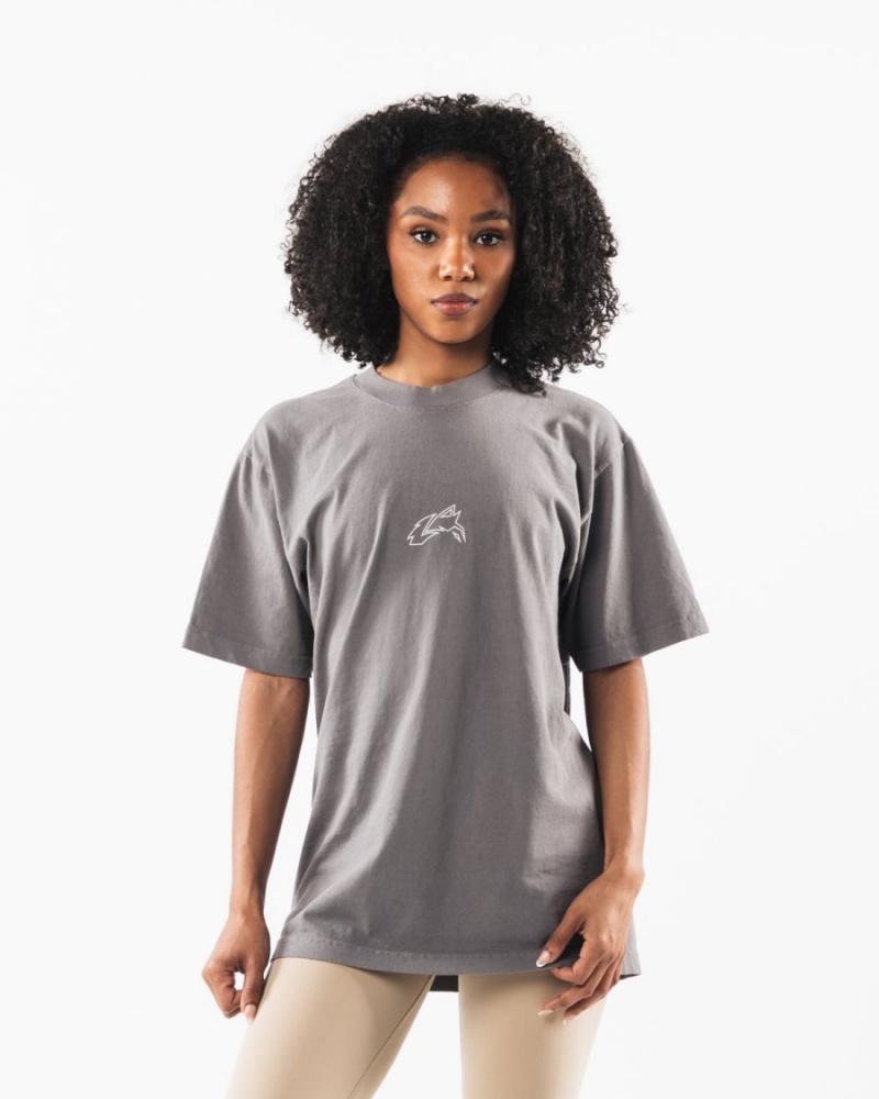 Charcoal Alphalete LDB Outline Tee Women's Shirts | 1704682-WI