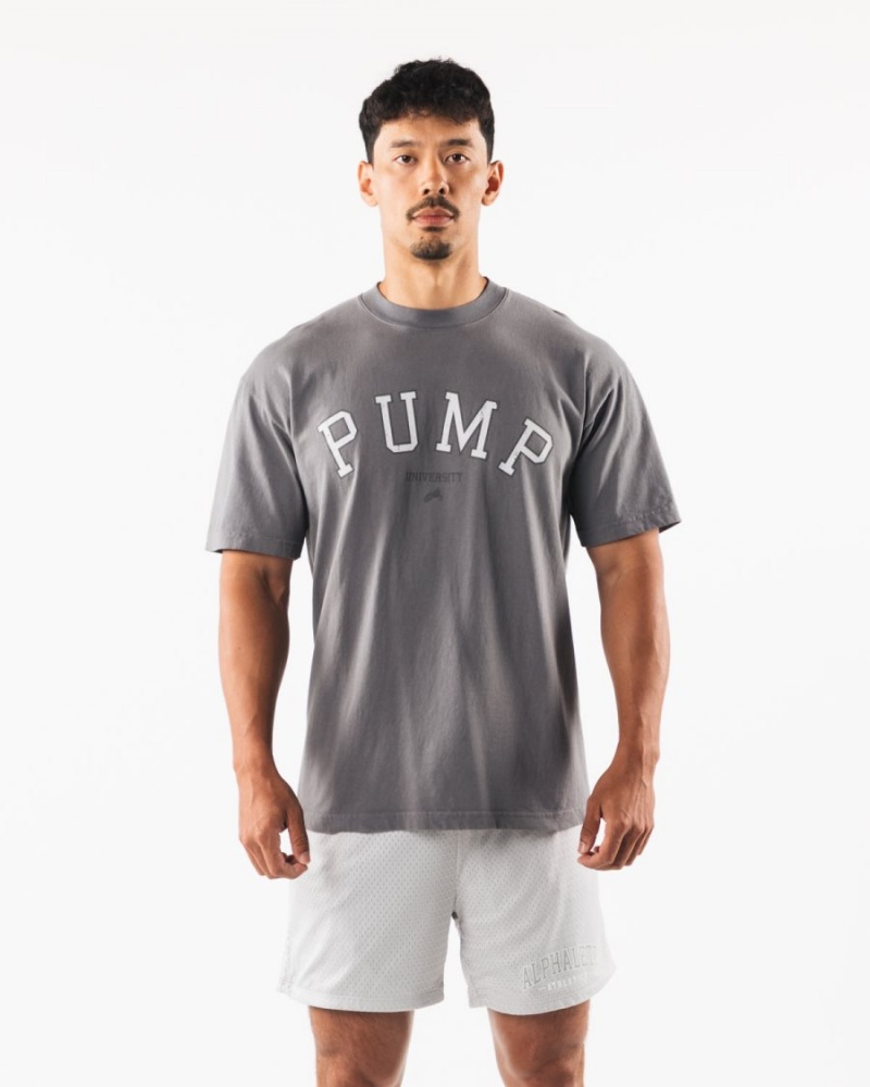 Charcoal Alphalete Pump University Tee Men's Shirts | 2314805-ZN