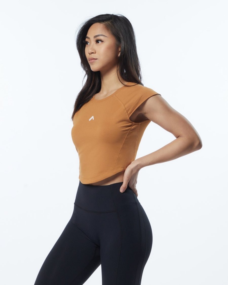 Chestnut Alphalete Velocity Crop Tee Women's Shirts | 9760238-YM