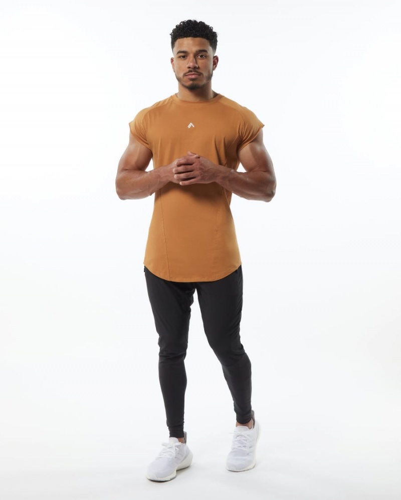 Chestnut Alphalete Velocity Sleeveless Tee Men's Stringers | 2789143-TM