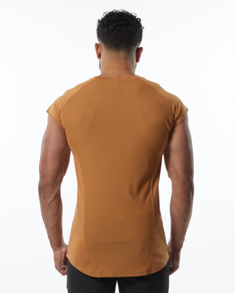 Chestnut Alphalete Velocity Sleeveless Tee Men's Stringers | 2789143-TM