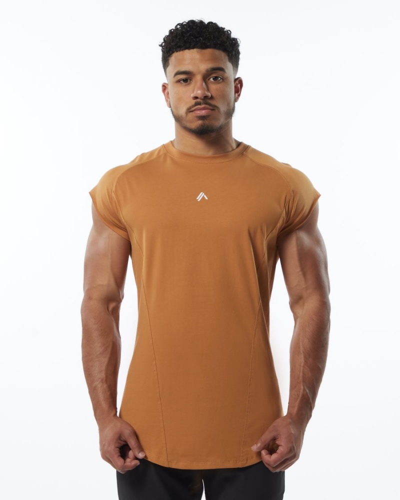 Chestnut Alphalete Velocity Sleeveless Tee Men\'s Stringers | 2789143-TM