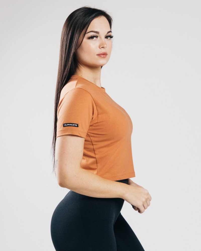 Clay Alphalete Essential Short Sleeve Crop Women's Shirts | 6087923-TE