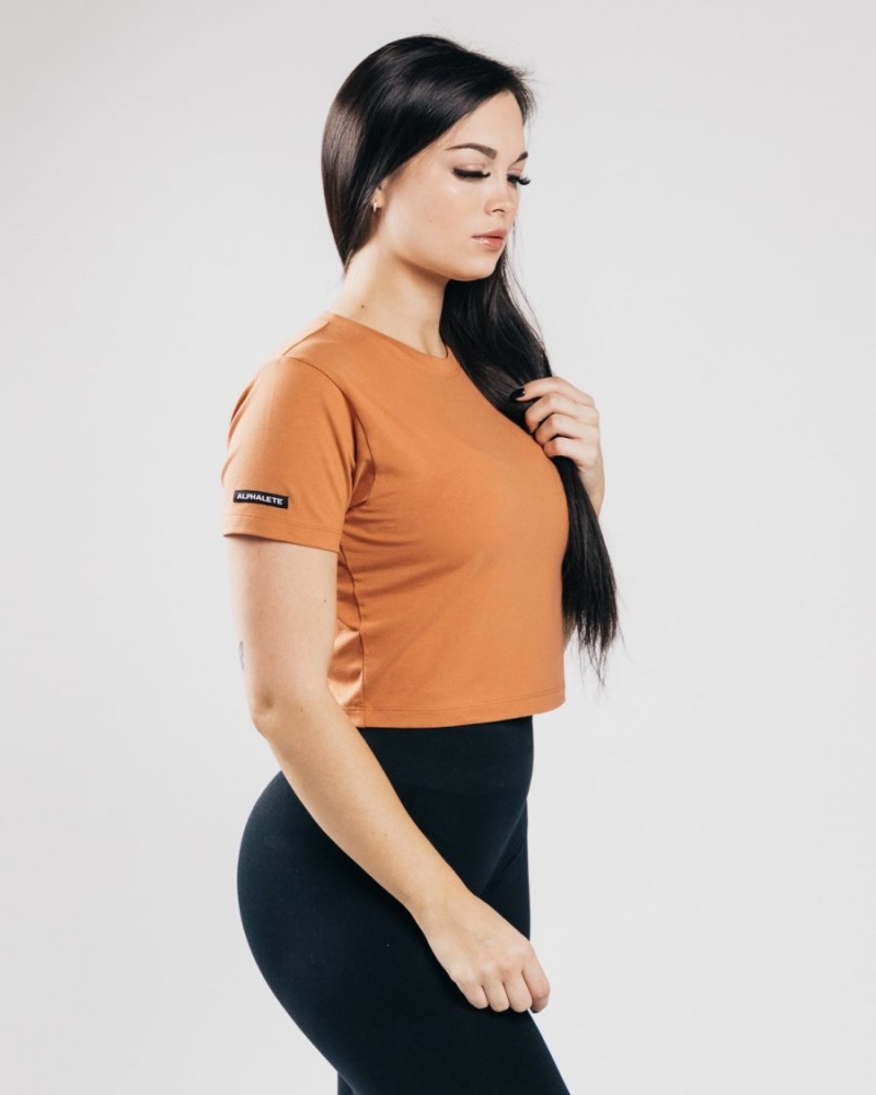 Clay Alphalete Essential Short Sleeve Crop Women's Shirts | 6087923-TE