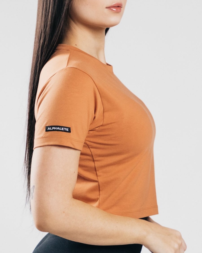 Clay Alphalete Essential Short Sleeve Crop Women's Shirts | 6087923-TE