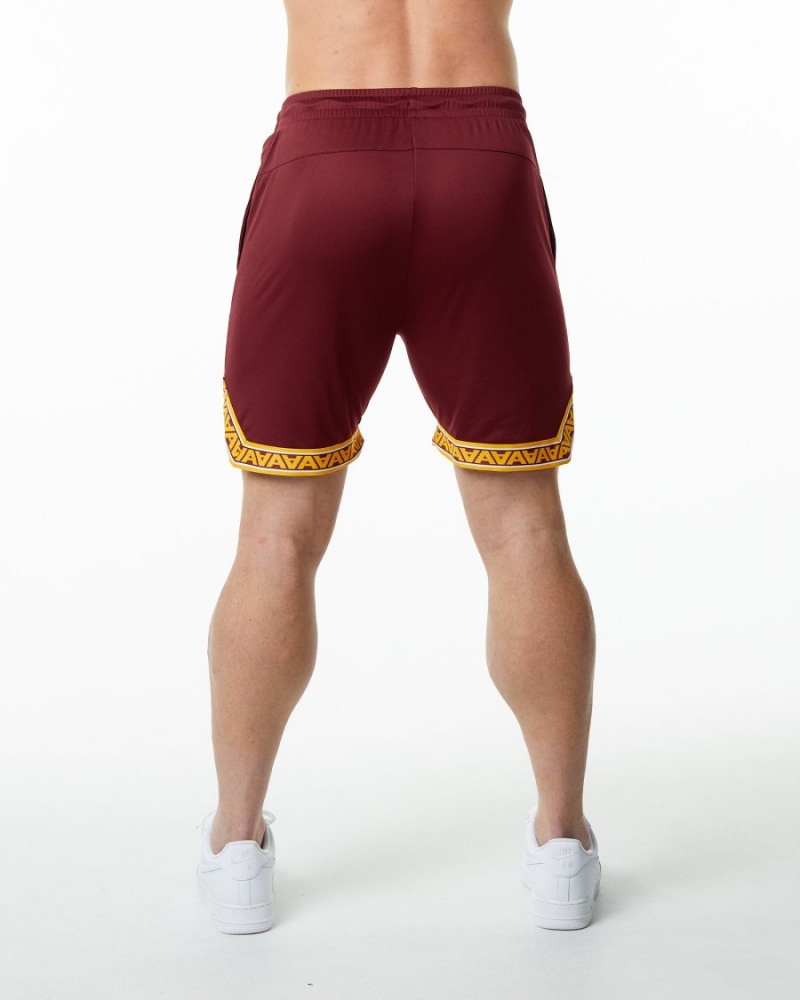 Crimson Alphalete Varsity Basketball Short 9" Men's Shorts | 0541973-NR