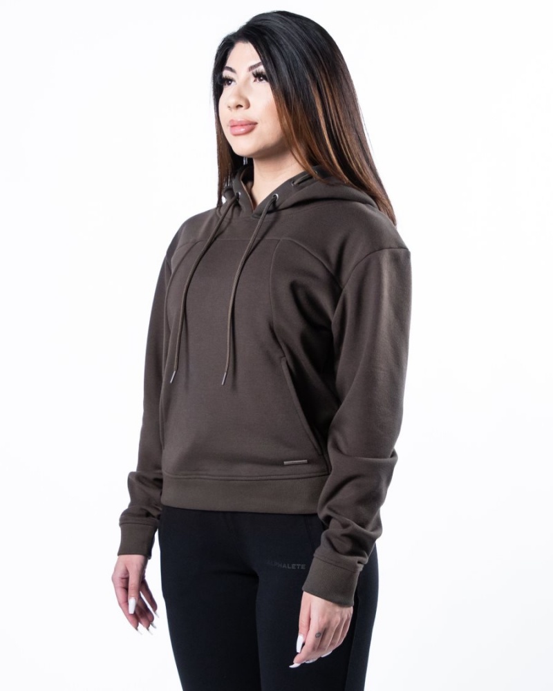 Dark Brown Alphalete Monarch Hoodie Women's Hoodie | 0368495-IS