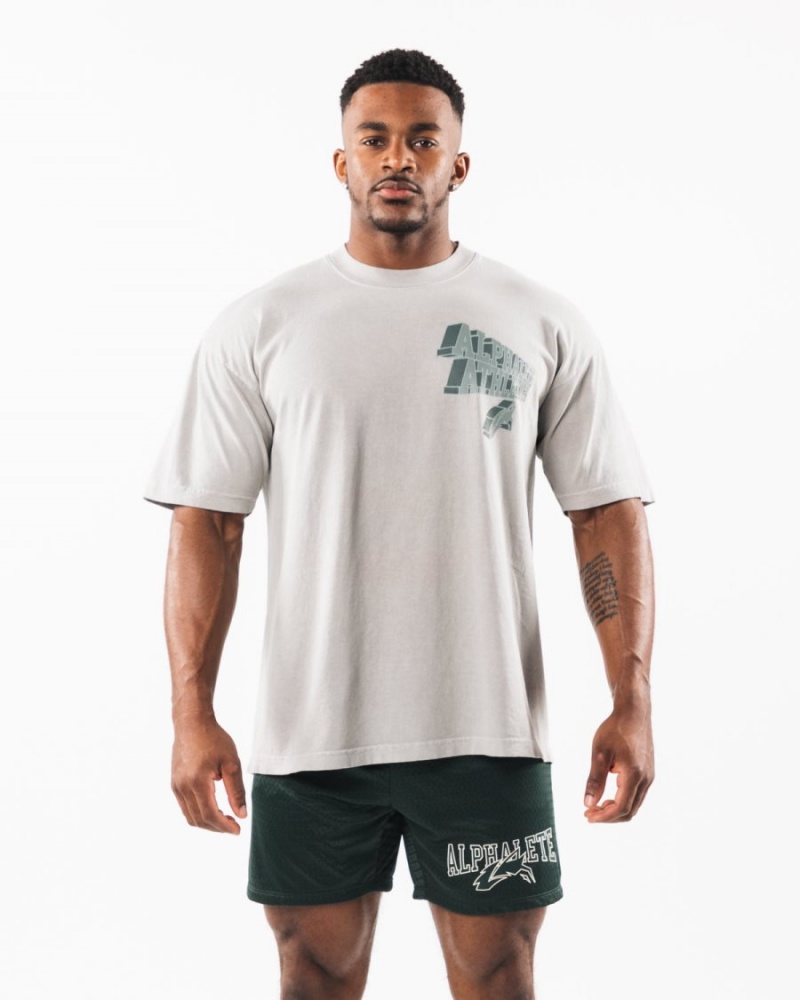 Dark Silver Alphalete Dimensional Tee Men's Shirts | 9450312-VA