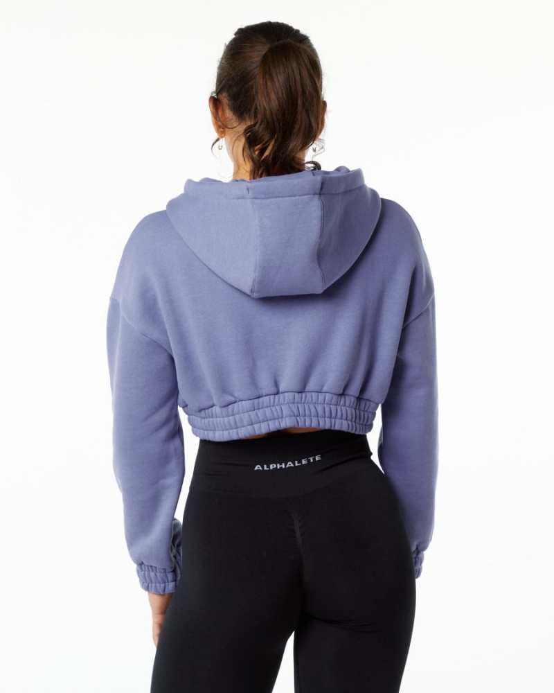 Digital Violet Alphalete Classic Capital Crop Hoodie Women's Hoodie | 6527389-NF