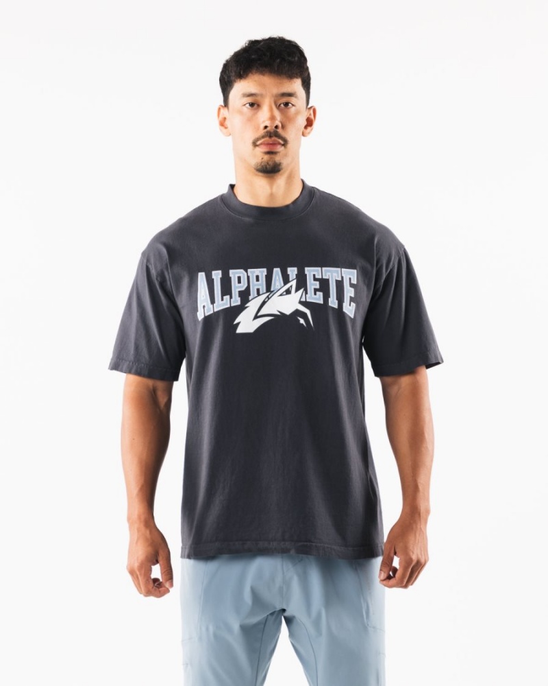 Dolphin Blue Alphalete Wolf Head Tee Men's Shirts | 6450271-VJ