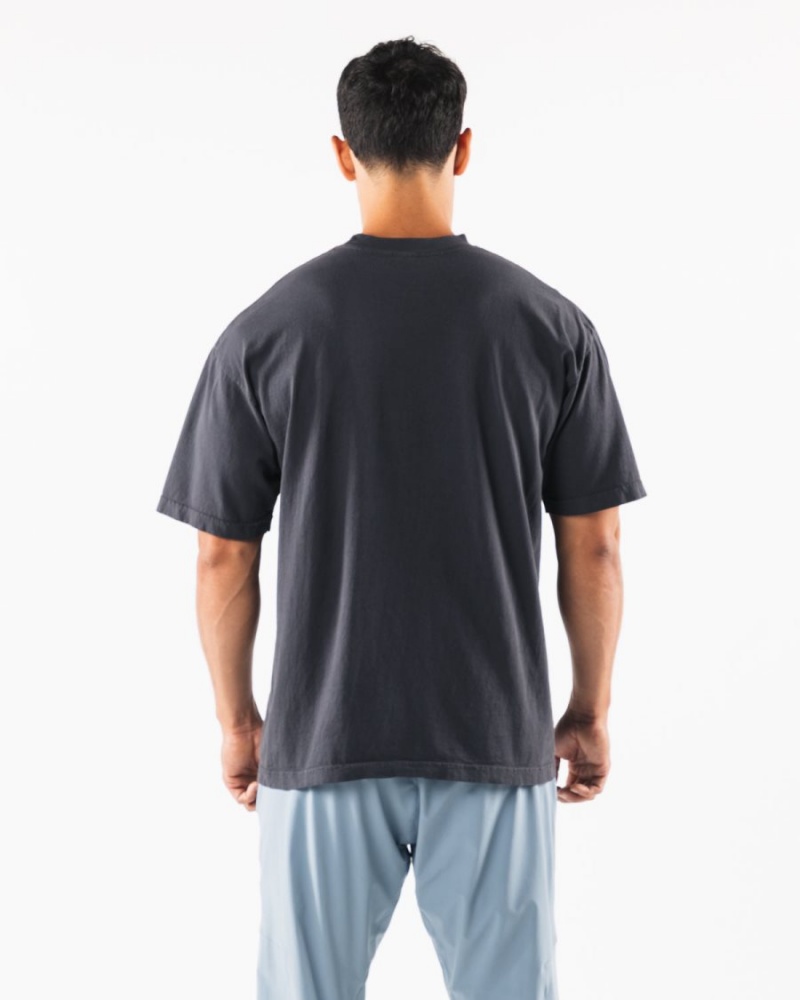 Dolphin Blue Alphalete Wolf Head Tee Men's Shirts | 6450271-VJ