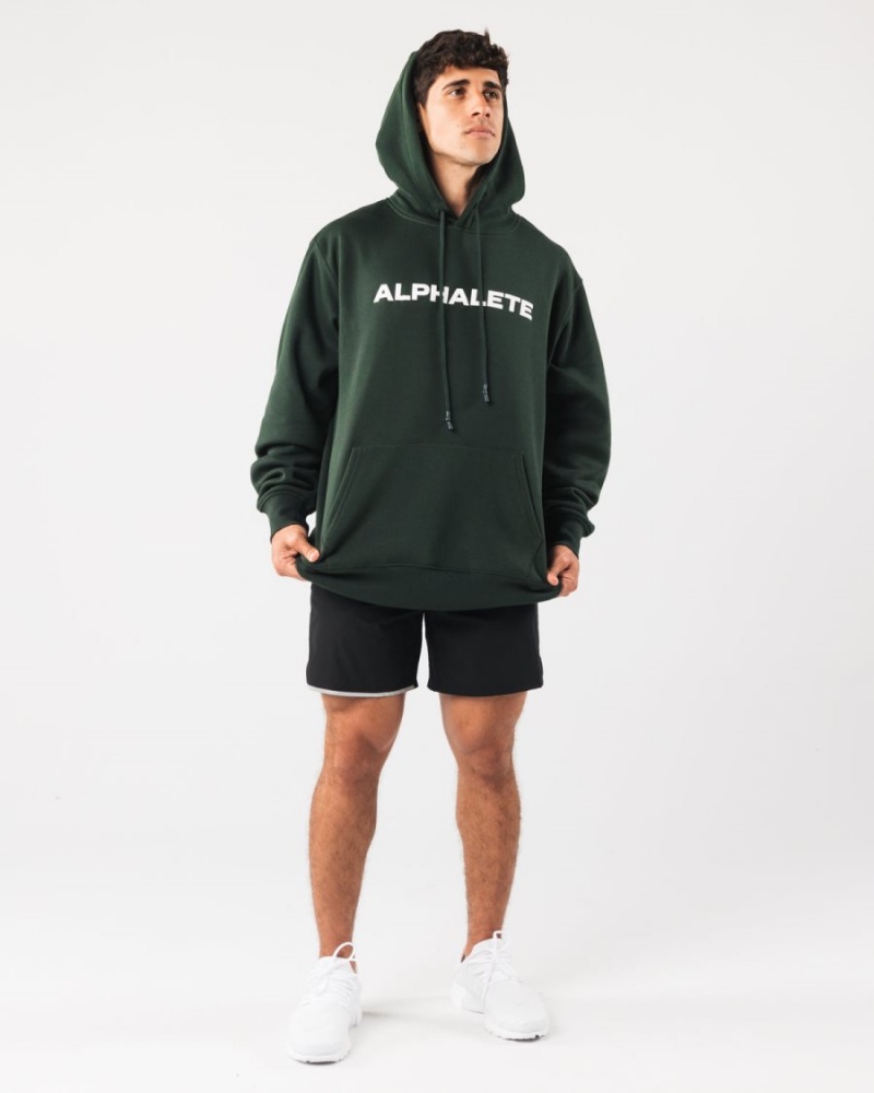 Evergreen Alphalete Core Hoodie Men's Hoodie | 1083957-BQ