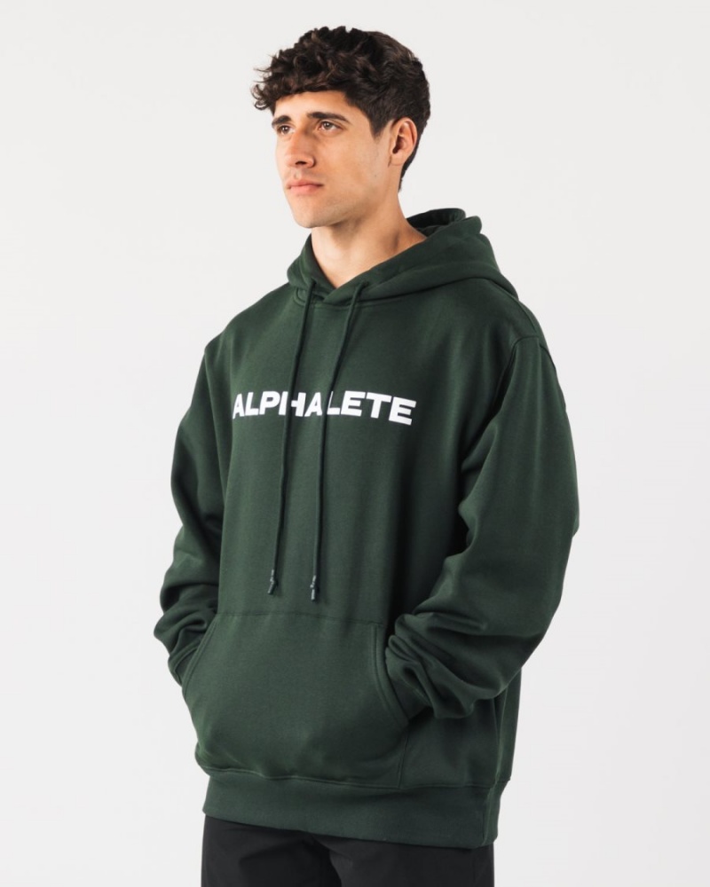 Evergreen Alphalete Core Hoodie Men's Hoodie | 1083957-BQ