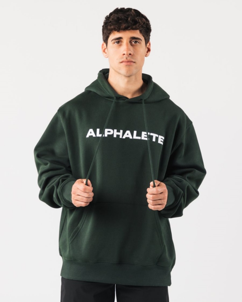 Evergreen Alphalete Core Hoodie Men\'s Hoodie | 1083957-BQ