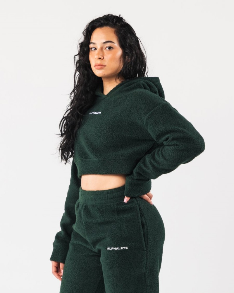 Evergreen Alphalete King Crop Hoodie Women's Hoodie | 8345179-RV