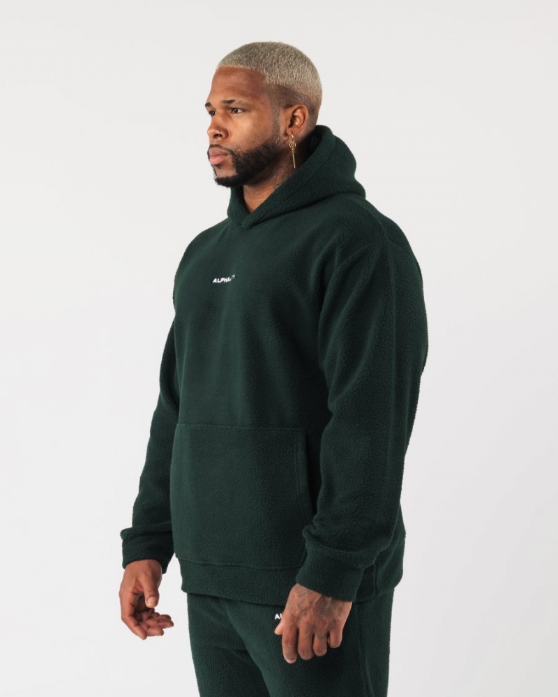 Evergreen Alphalete King Hoodie Men's Hoodie | 0132678-FC