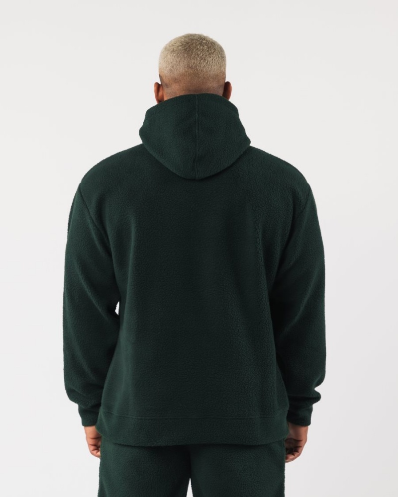 Evergreen Alphalete King Hoodie Men's Hoodie | 0132678-FC