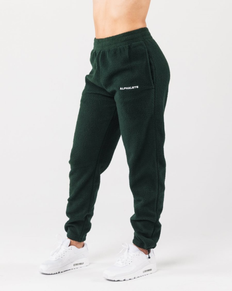 Evergreen Alphalete King Jogger Men's Jogger | 9102748-IA