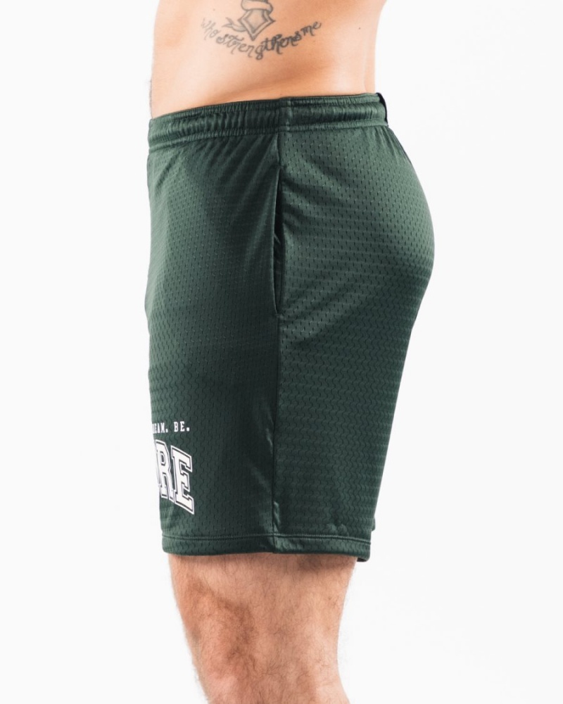 Evergreen Alphalete LDB More Mesh Short 6" Men's Shorts | 2380691-IA