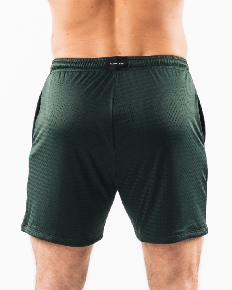 Evergreen Alphalete LDB More Mesh Short 6" Men's Shorts | 2380691-IA