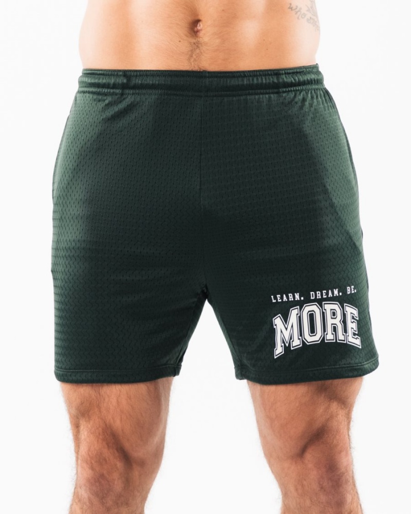 Evergreen Alphalete LDB More Mesh Short 6" Men\'s Shorts | 2380691-IA