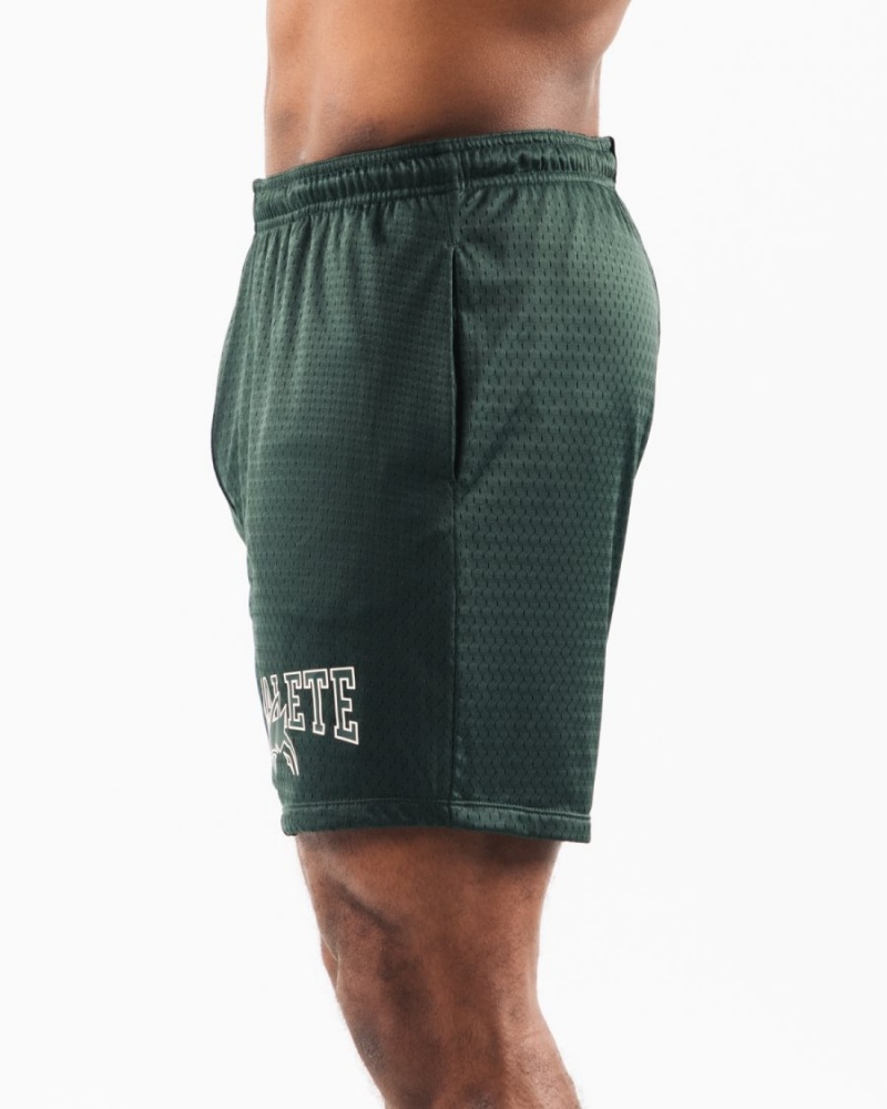 Evergreen Alphalete Wolf Head Mesh Short 6" Men's Shorts | 4059873-KD