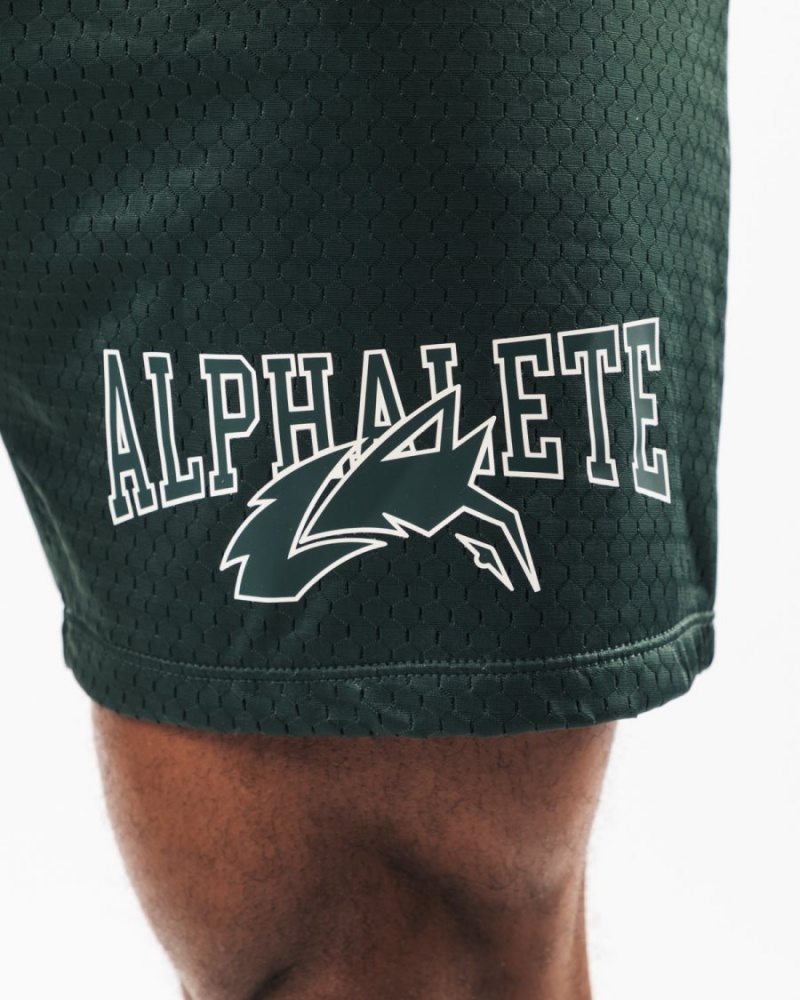 Evergreen Alphalete Wolf Head Mesh Short 6" Men's Shorts | 4059873-KD