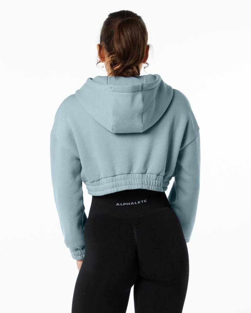 Fog Blue Alphalete Classic Capital Crop Hoodie Women's Hoodie | 4307659-DX