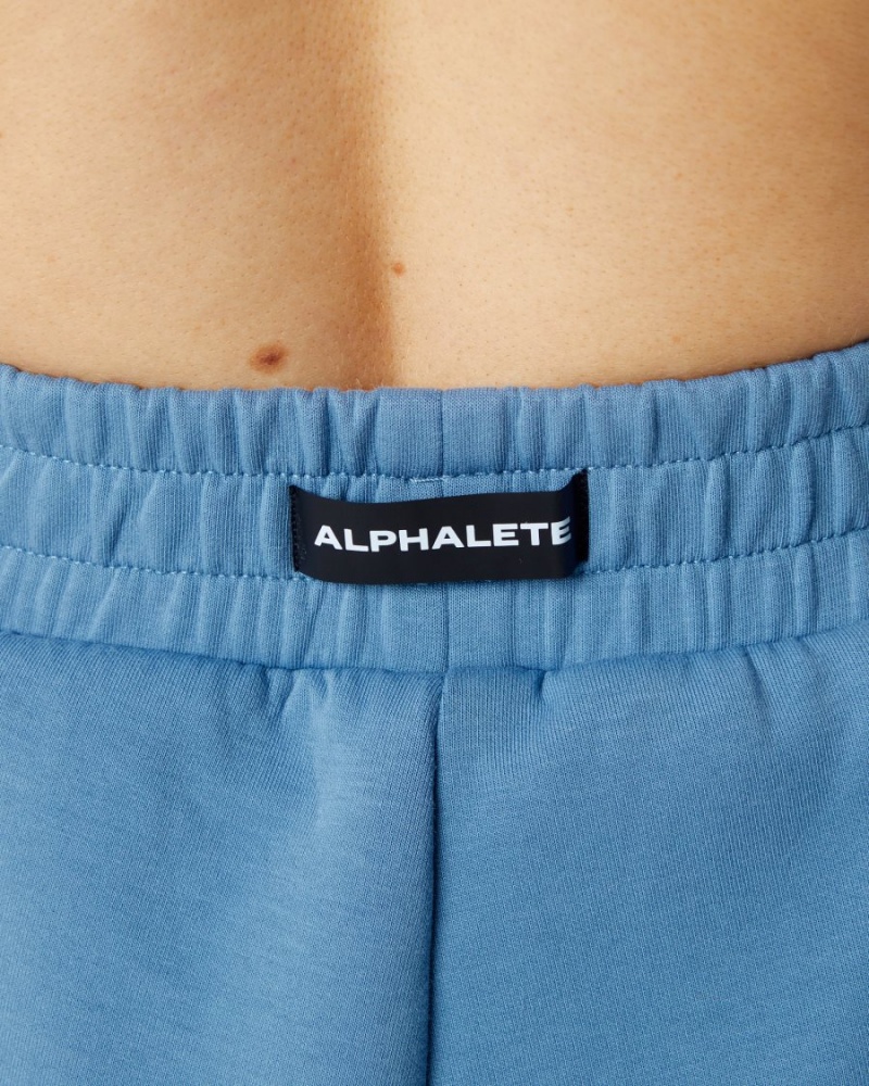 Fog Blue Alphalete ELMTS Athletic Short 3.5" Women's Shorts | 4731256-CI