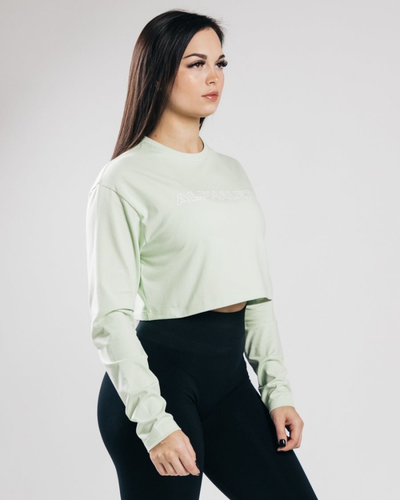 Frozen Spring Alphalete Outlined Long Sleeve Crop Women's Long Sleeve | 0728195-UO