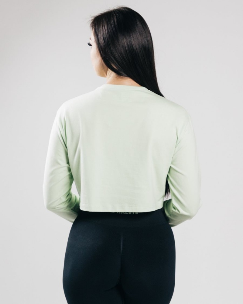 Frozen Spring Alphalete Outlined Long Sleeve Crop Women's Long Sleeve | 0728195-UO