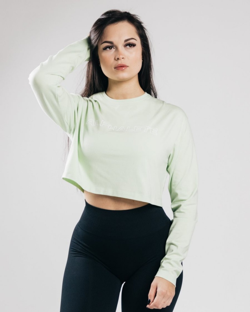 Frozen Spring Alphalete Outlined Long Sleeve Crop Women's Long Sleeve | 0728195-UO