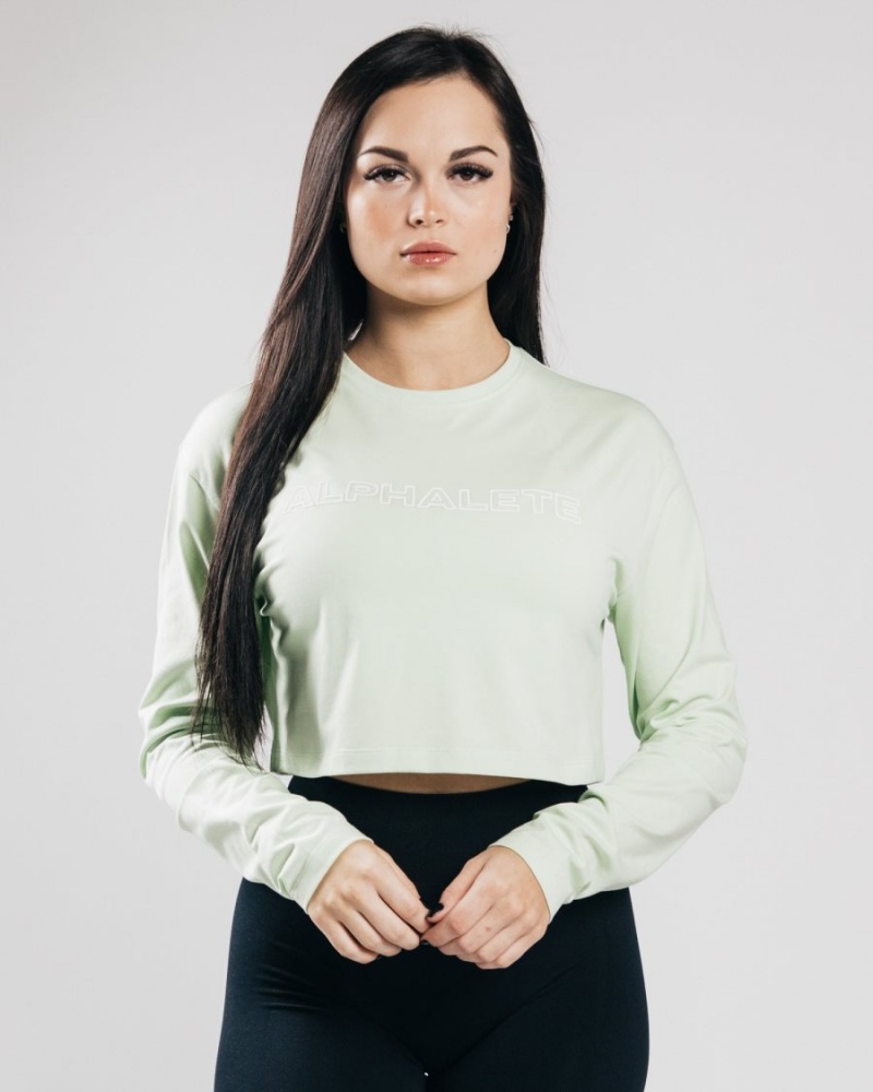 Frozen Spring Alphalete Outlined Long Sleeve Crop Women\'s Long Sleeve | 0728195-UO