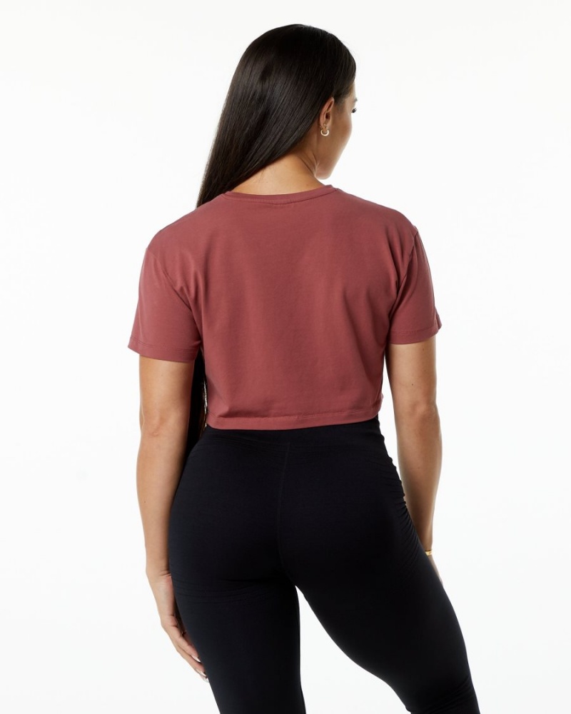 Gingerbread Alphalete Dynasty Crop Women's Shirts | 8243576-YX