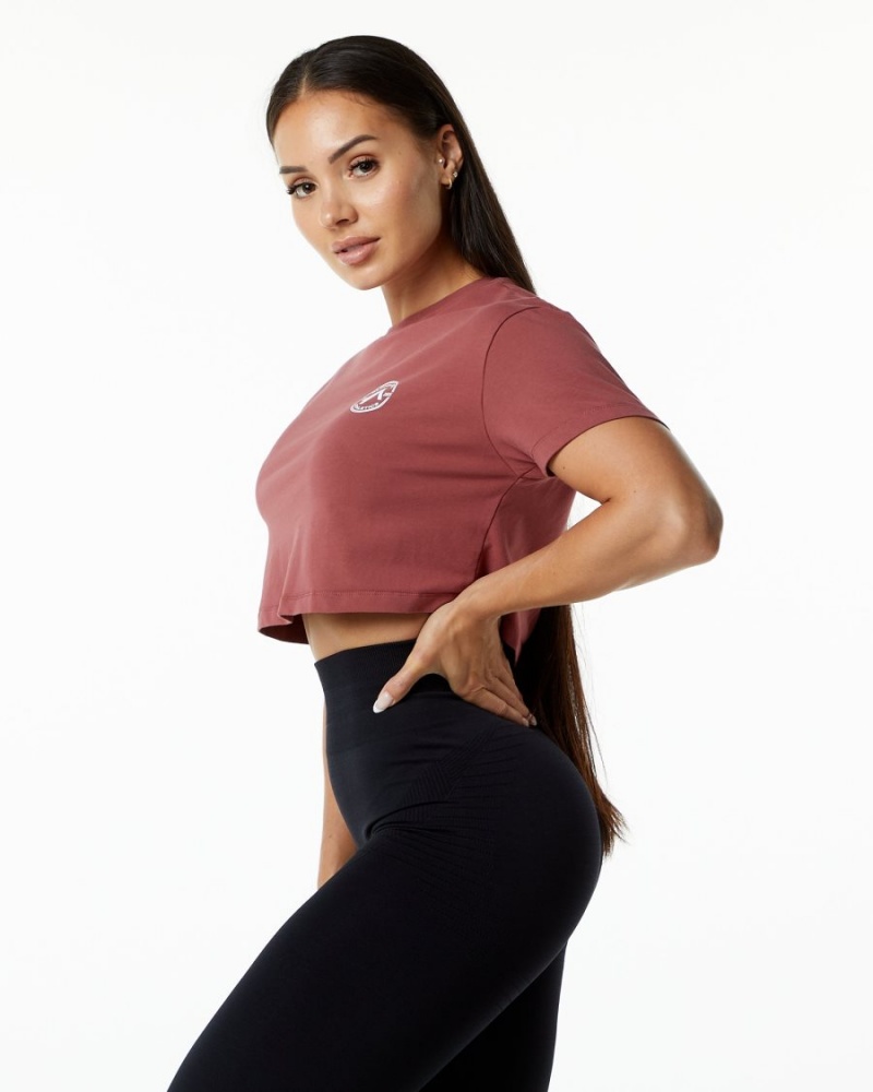 Gingerbread Alphalete Dynasty Crop Women's Shirts | 8243576-YX