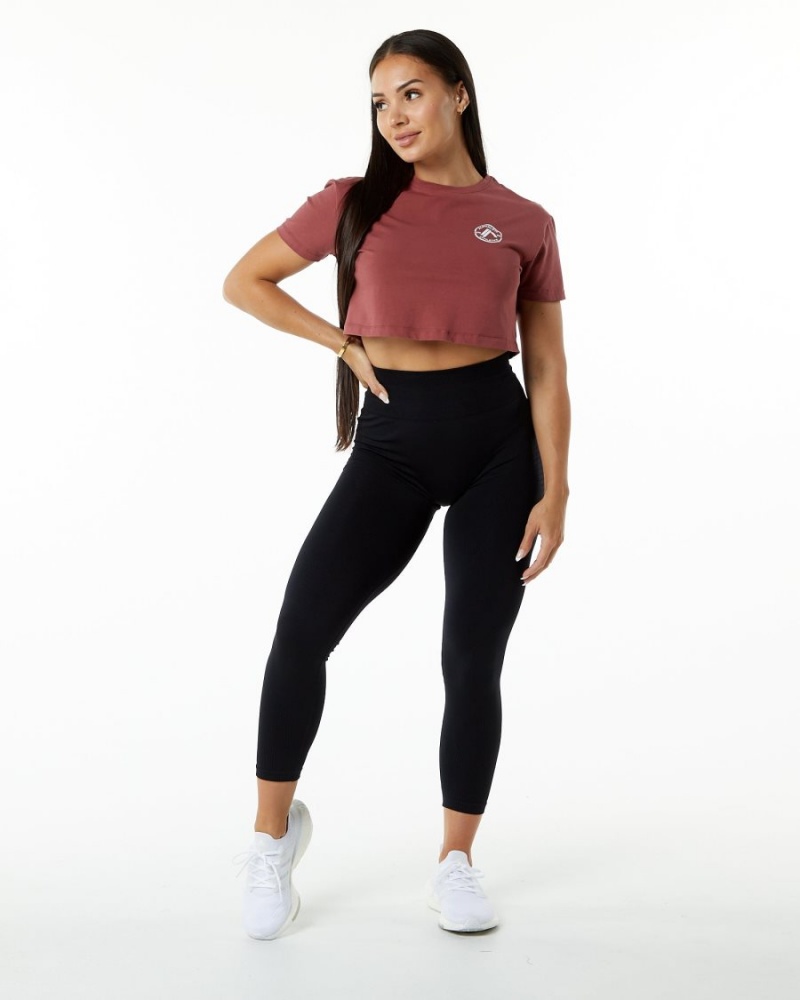 Gingerbread Alphalete Dynasty Crop Women's Shirts | 8243576-YX